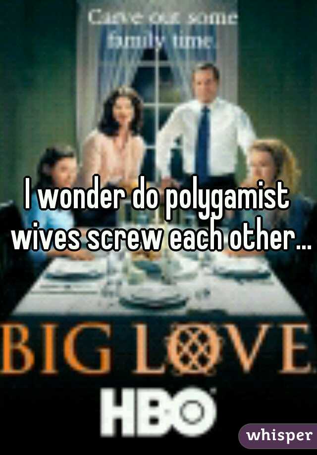 I wonder do polygamist wives screw each other...