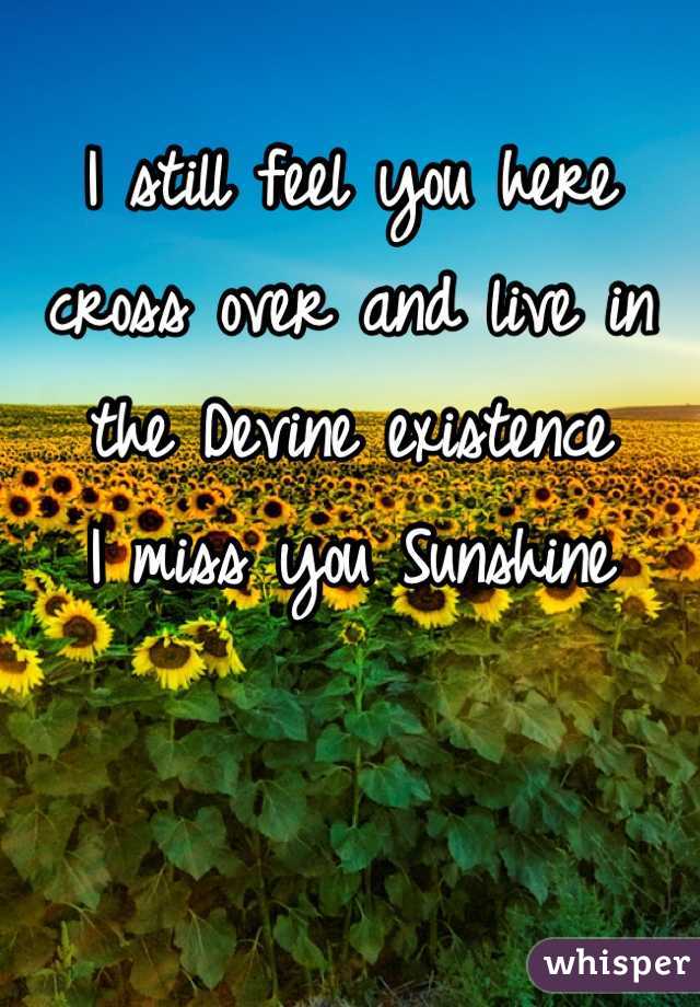 I still feel you here cross over and live in the Devine existence
I miss you Sunshine


