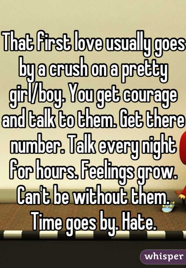 That first love usually goes by a crush on a pretty girl/boy. You get courage and talk to them. Get there number. Talk every night for hours. Feelings grow. Can't be without them. Time goes by. Hate.