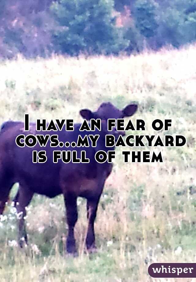 I have an fear of cows...my backyard is full of them 