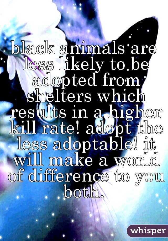 black animals are less likely to be adopted from shelters which results in a higher kill rate! adopt the less adoptable! it will make a world of difference to you both. 
