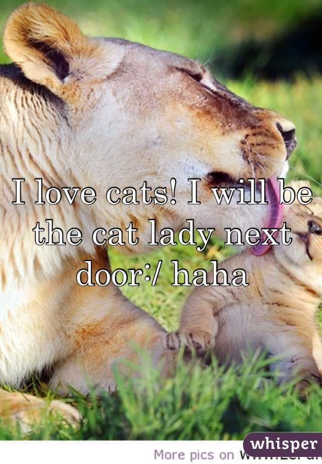I love cats! I will be the cat lady next door:/ haha