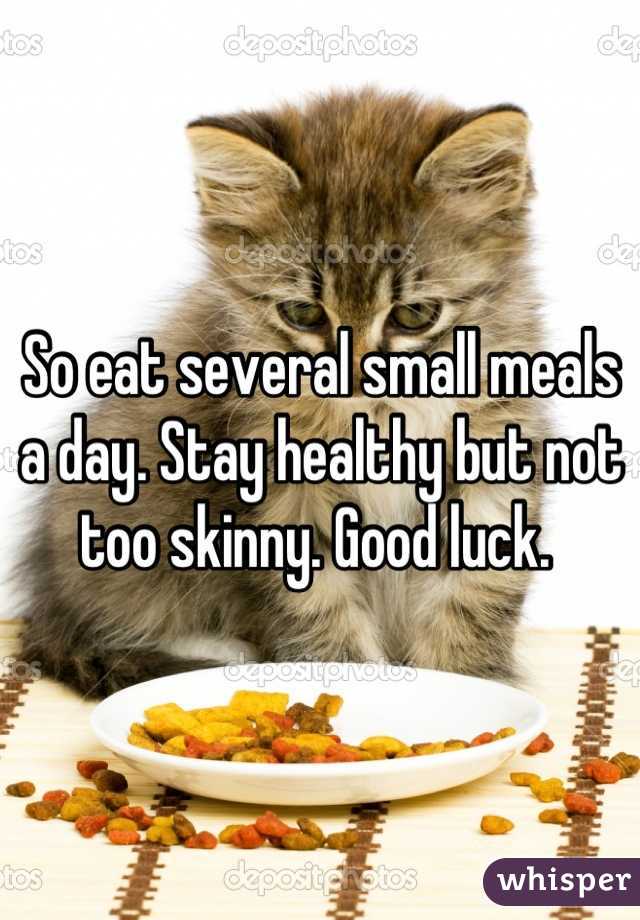 So eat several small meals a day. Stay healthy but not too skinny. Good luck. 