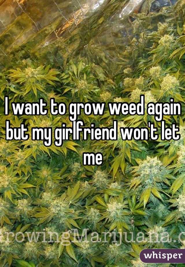 I want to grow weed again but my girlfriend won't let me