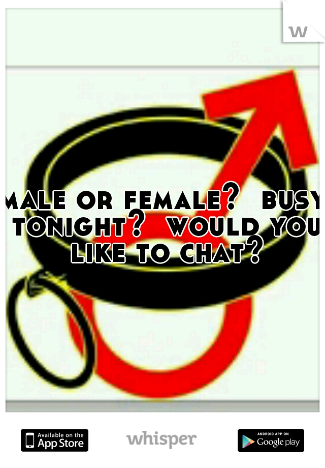 male or female?  busy tonight?  would you like to chat?