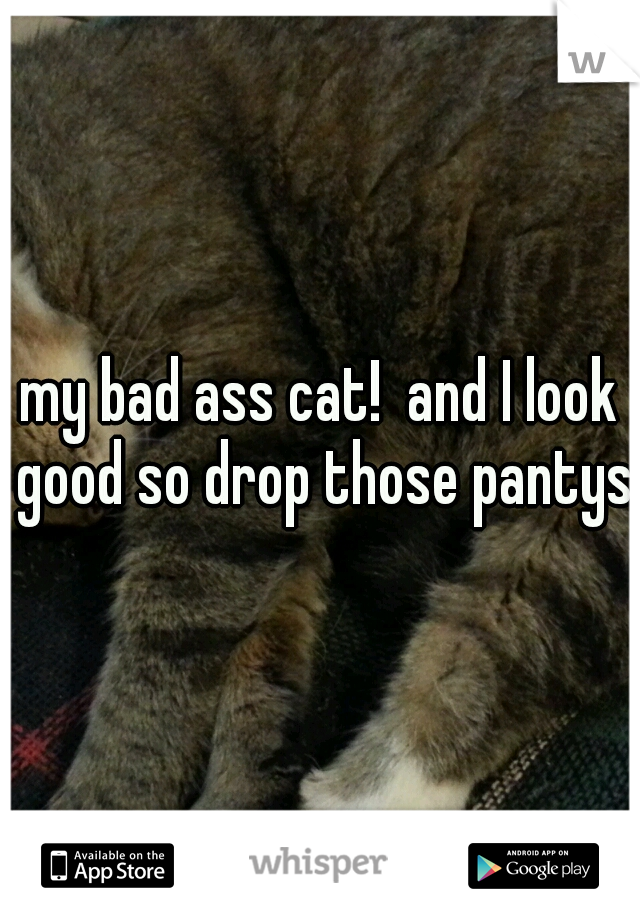 my bad ass cat!  and I look good so drop those pantys