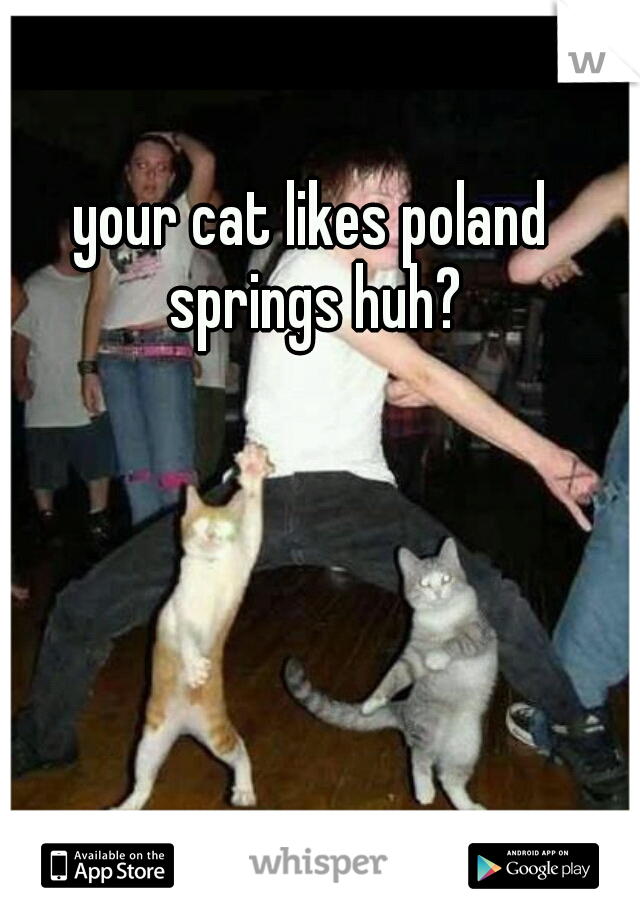 your cat likes poland springs huh?