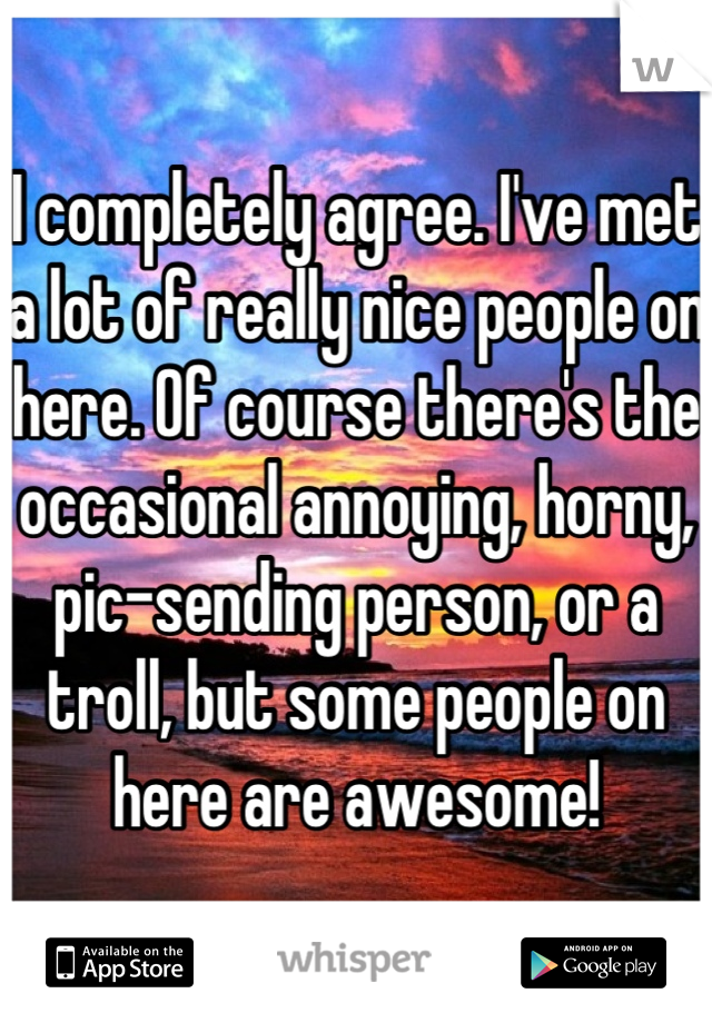 I completely agree. I've met a lot of really nice people on here. Of course there's the occasional annoying, horny, pic-sending person, or a troll, but some people on here are awesome!