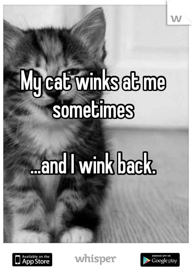 My cat winks at me sometimes

…and I wink back.