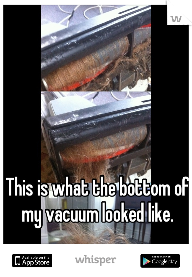 This is what the bottom of my vacuum looked like.