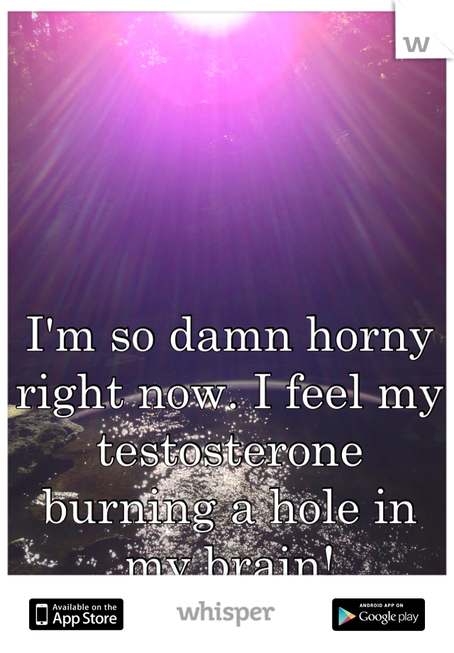 I'm so damn horny right now. I feel my testosterone burning a hole in my brain!