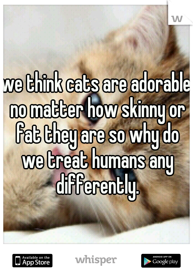 we think cats are adorable no matter how skinny or fat they are so why do we treat humans any differently.