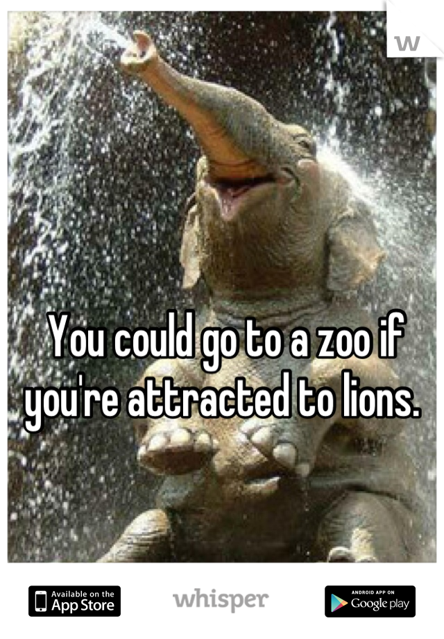 You could go to a zoo if you're attracted to lions. 