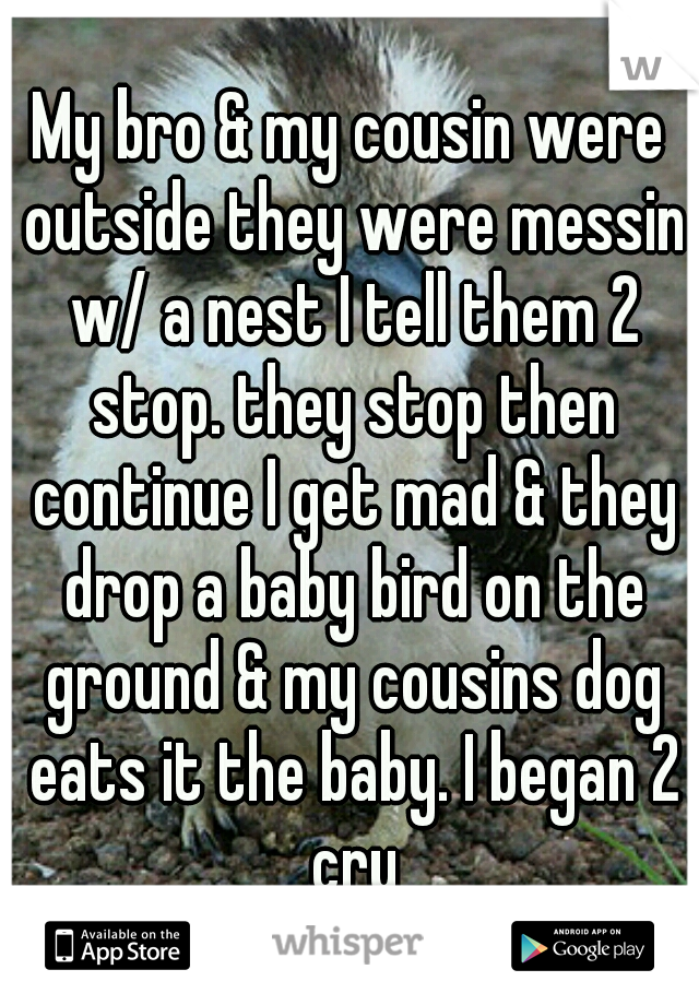 My bro & my cousin were outside they were messin w/ a nest I tell them 2 stop. they stop then continue I get mad & they drop a baby bird on the ground & my cousins dog eats it the baby. I began 2 cry