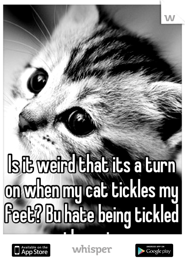 Is it weird that its a turn on when my cat tickles my feet? Bu hate being tickled otherwise.