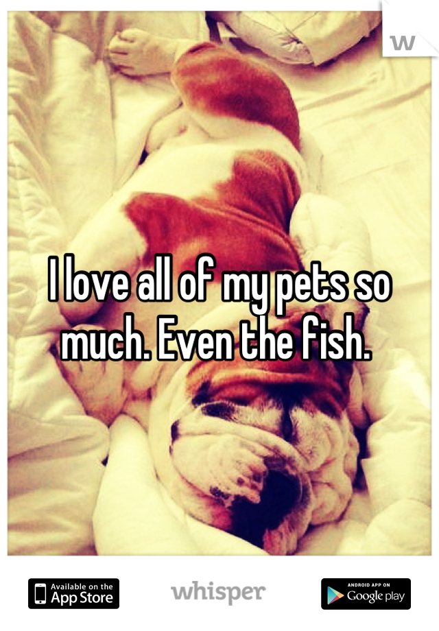 I love all of my pets so much. Even the fish. 