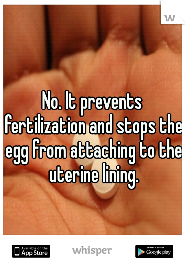 No. It prevents fertilization and stops the egg from attaching to the uterine lining.