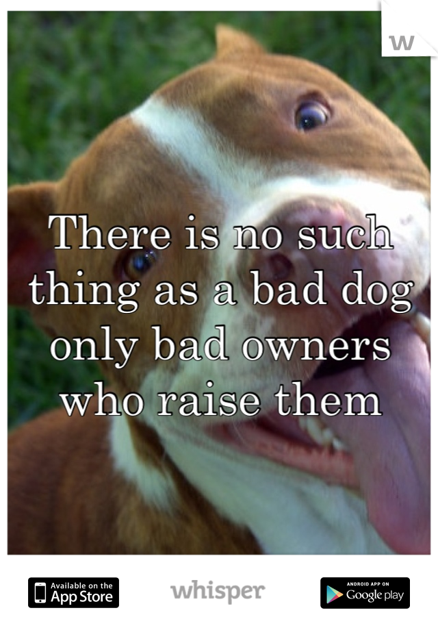 There is no such thing as a bad dog only bad owners who raise them