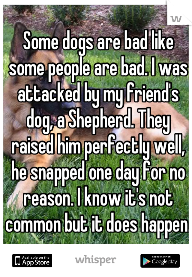 Some dogs are bad like some people are bad. I was attacked by my friend's dog, a Shepherd. They raised him perfectly well, he snapped one day for no reason. I know it's not common but it does happen.