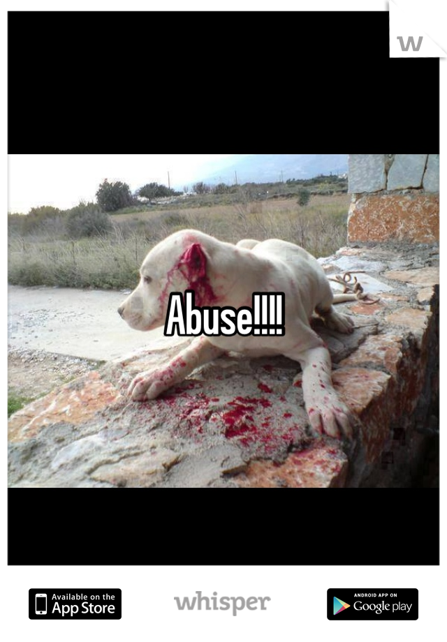 Abuse!!!!
