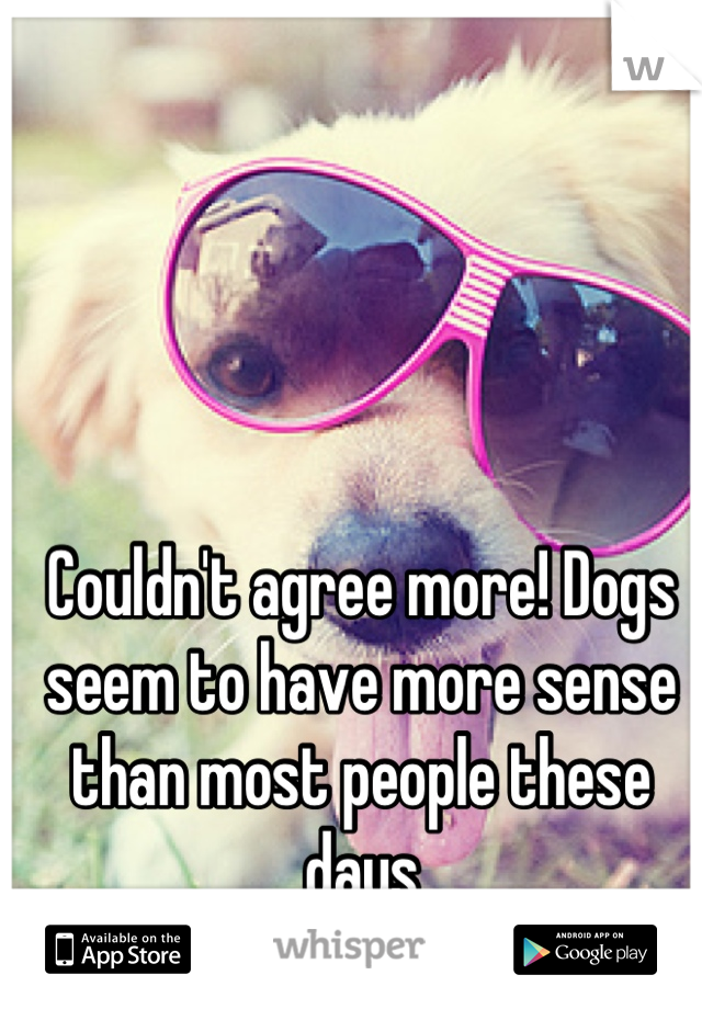 Couldn't agree more! Dogs seem to have more sense than most people these days