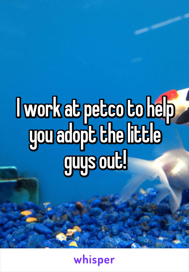 I work at petco to help you adopt the little guys out!
