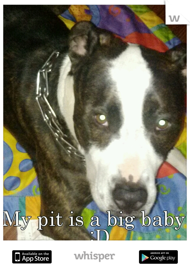 My pit is a big baby! :D