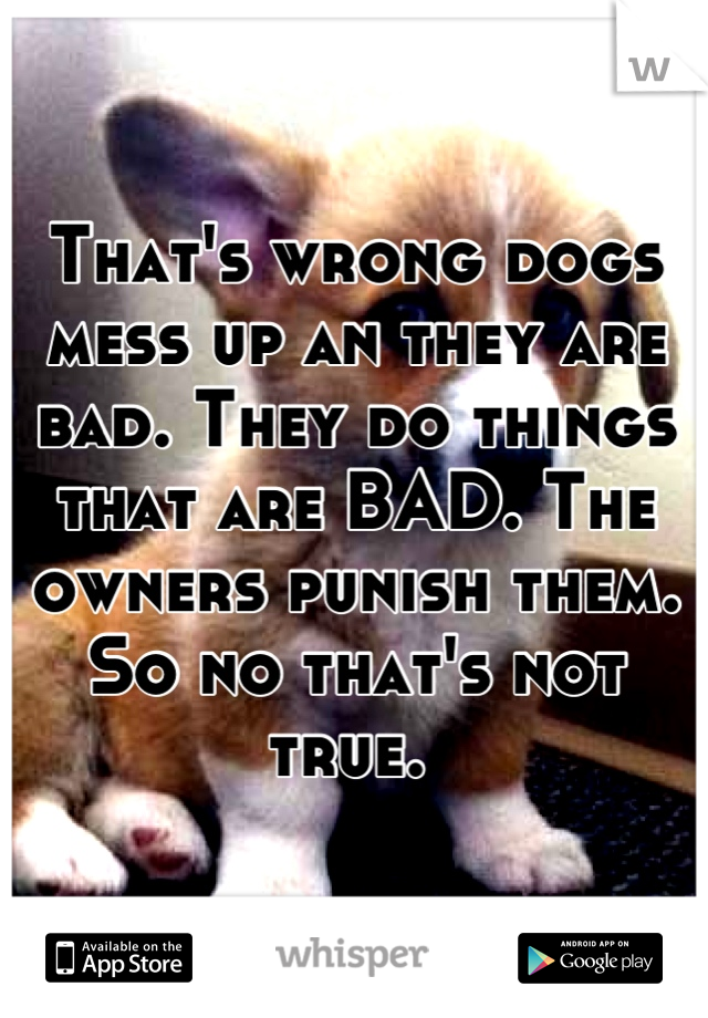 That's wrong dogs mess up an they are bad. They do things that are BAD. The owners punish them. So no that's not true. 