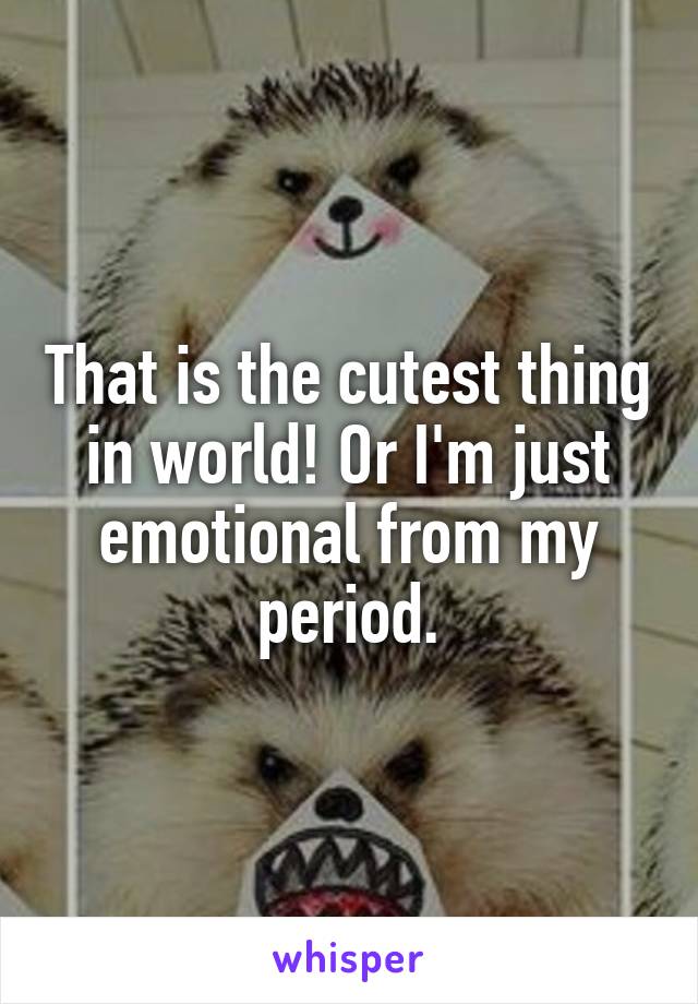 That is the cutest thing in world! Or I'm just emotional from my period.