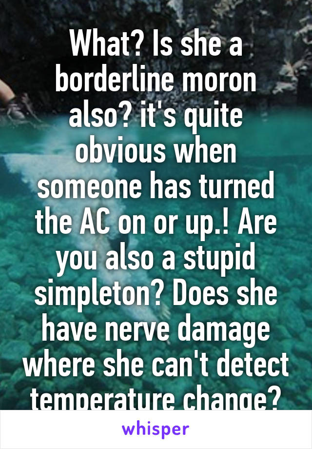 What? Is she a borderline moron also? it's quite obvious when someone has turned the AC on or up.! Are you also a stupid simpleton? Does she have nerve damage where she can't detect temperature change?