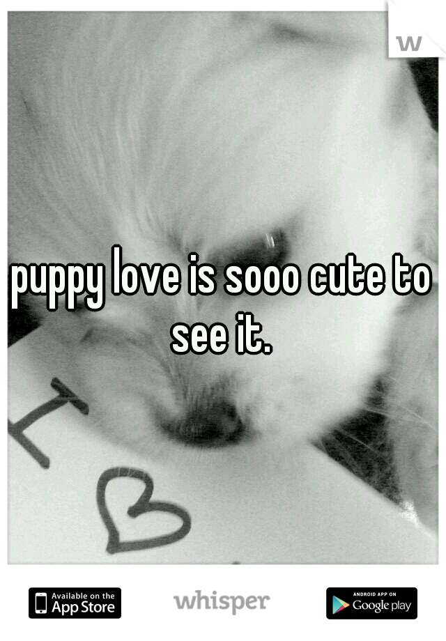 puppy love is sooo cute to see it. 