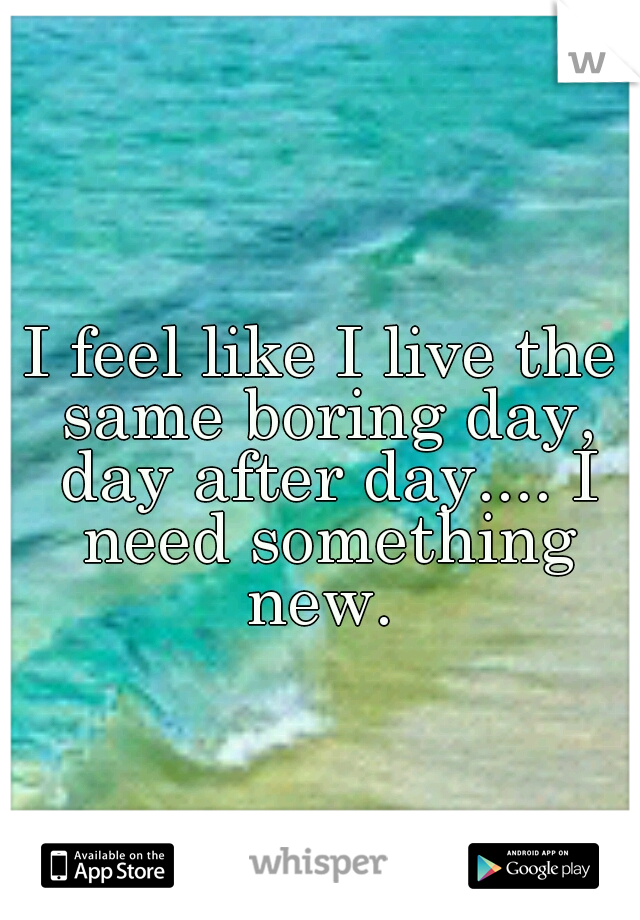 I feel like I live the same boring day, day after day.... I need something new. 