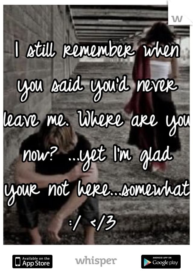 I still remember when you said you'd never leave me. Where are you now? ...yet I'm glad your not here...somewhat :/ </3 