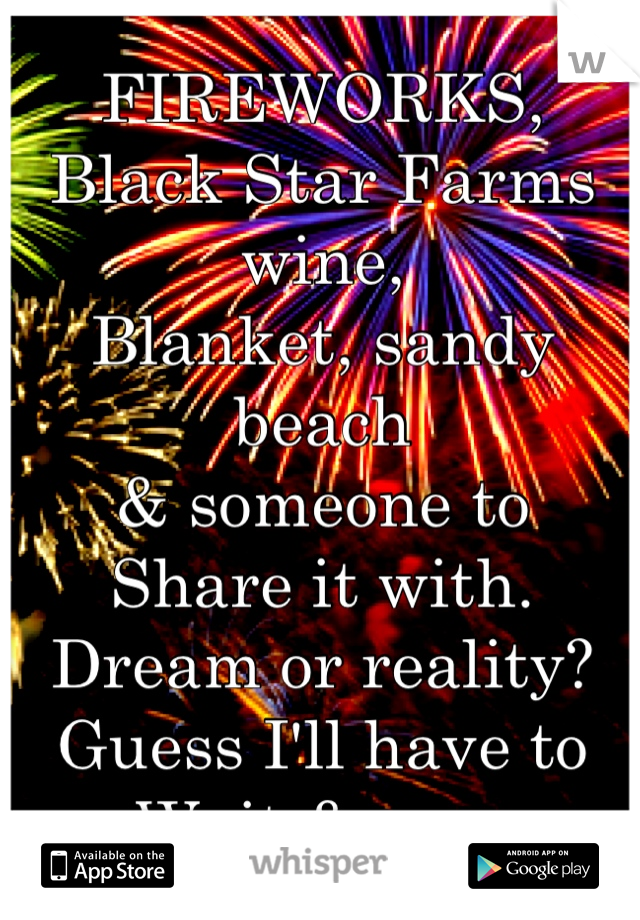 FIREWORKS,
Black Star Farms wine,
Blanket, sandy beach 
& someone to 
Share it with. 
Dream or reality?
Guess I'll have to
Wait & see. 