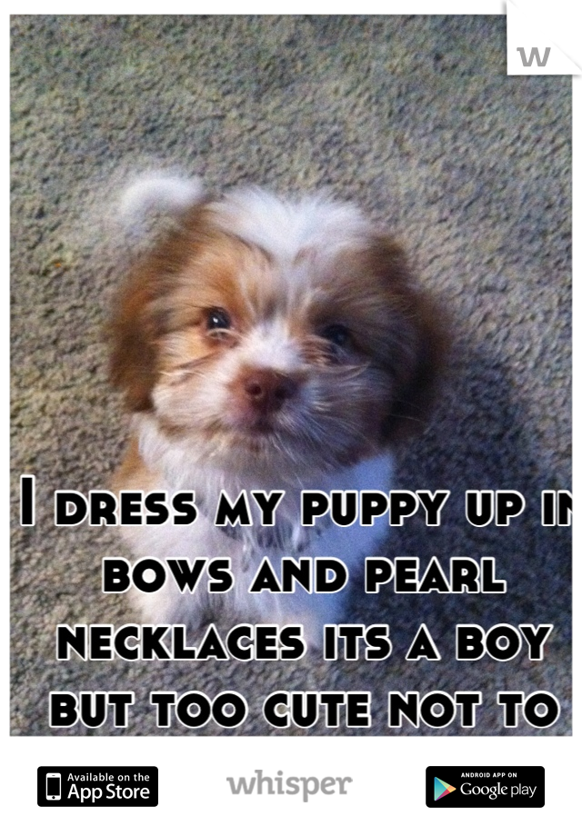 I dress my puppy up in bows and pearl necklaces its a boy but too cute not to be a girl!!! =)