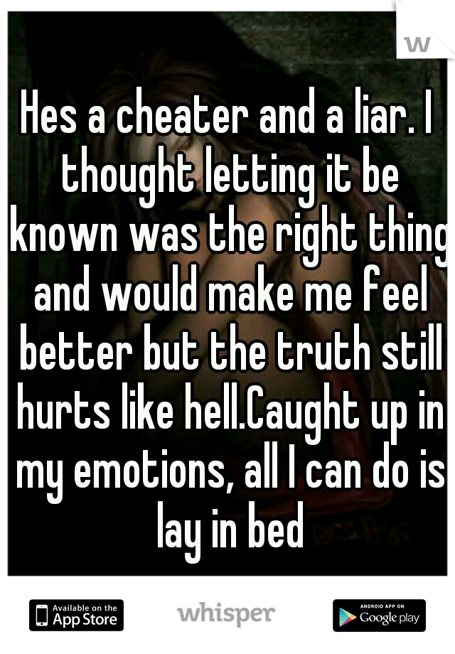 Hes a cheater and a liar. I thought letting it be known was the right thing and would make me feel better but the truth still hurts like hell.Caught up in my emotions, all I can do is lay in bed