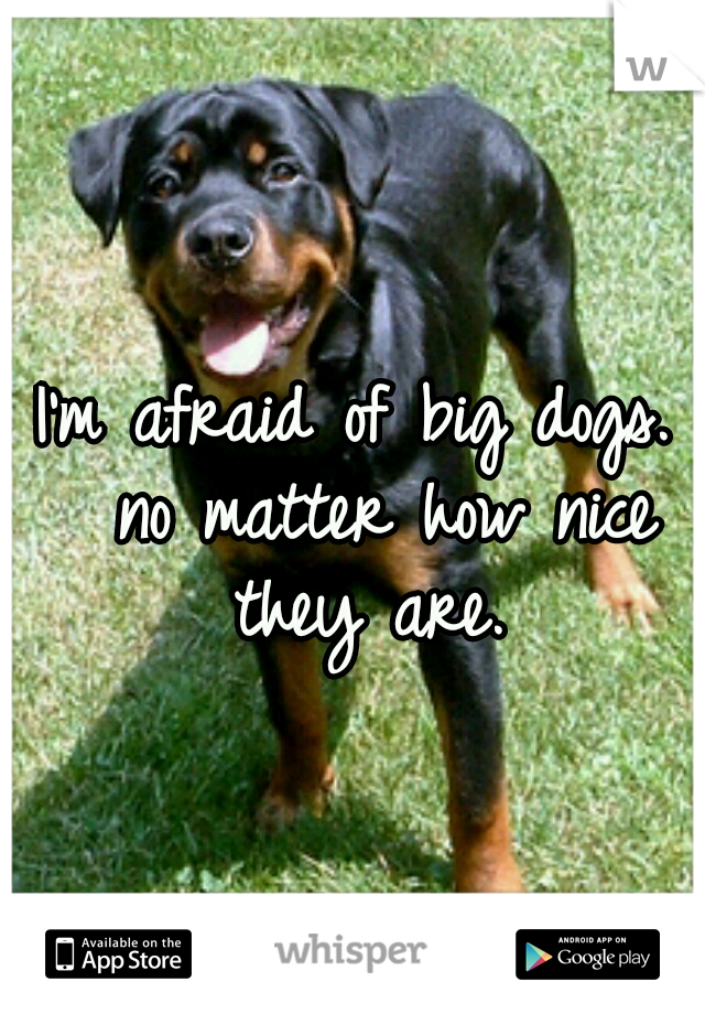 I'm afraid of big dogs.  no matter how nice they are. 