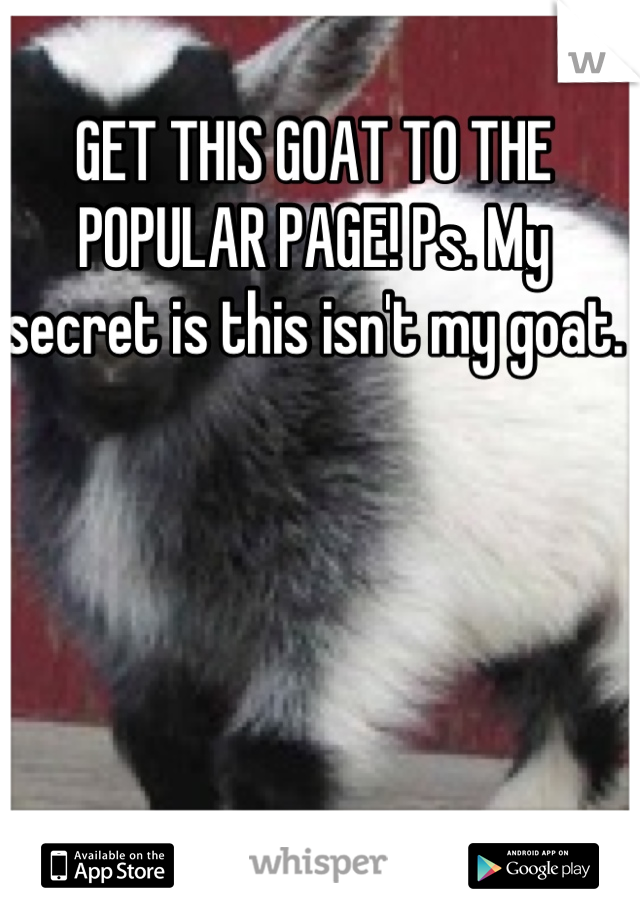 GET THIS GOAT TO THE POPULAR PAGE! Ps. My secret is this isn't my goat.