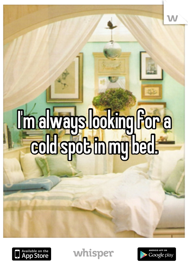 I'm always looking for a cold spot in my bed.