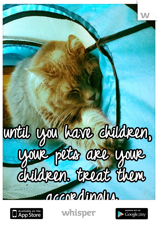 until you have children, your pets are your children. treat them accordingly