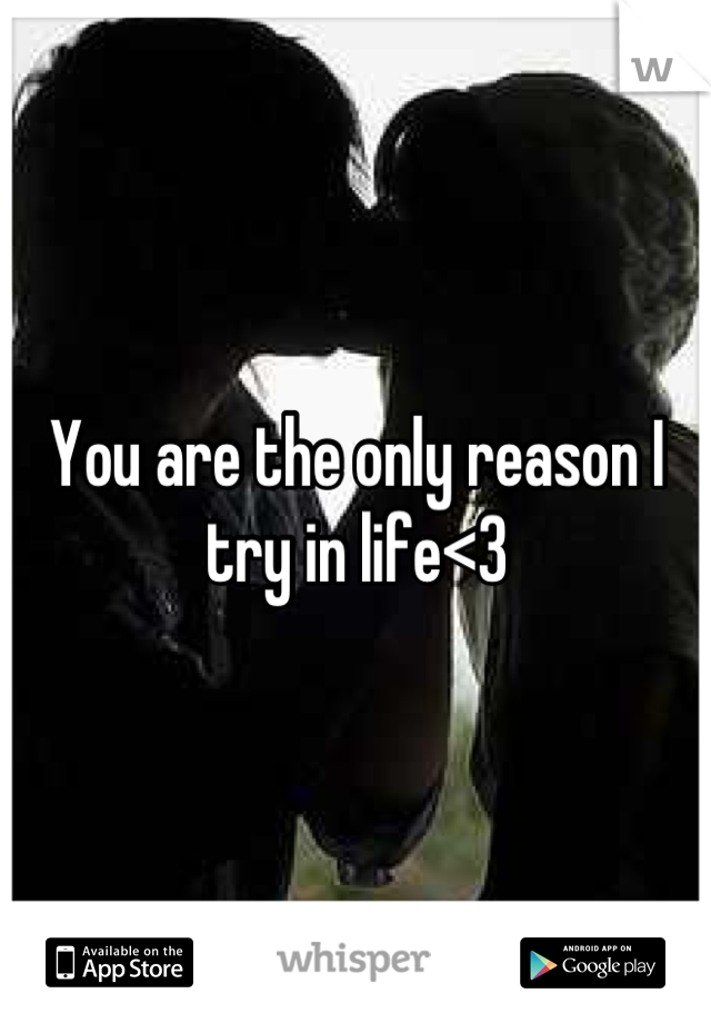 You are the only reason I try in life<3