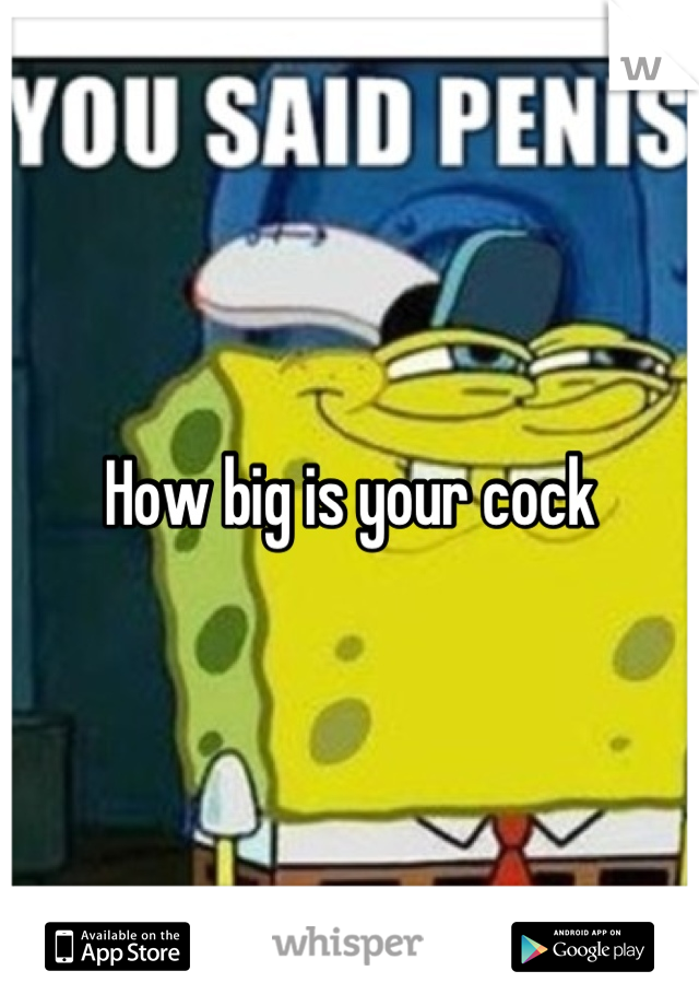 How big is your cock