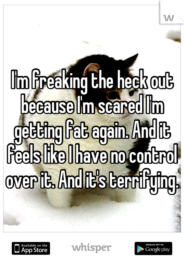 I'm freaking the heck out because I'm scared I'm getting fat again. And it feels like I have no control over it. And it's terrifying.