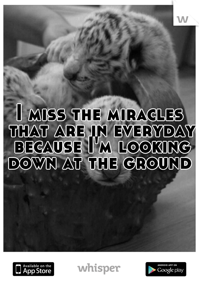 I miss the miracles that are in everyday because I'm looking down at the ground 