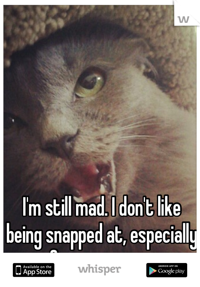 I'm still mad. I don't like being snapped at, especially for no reason. 