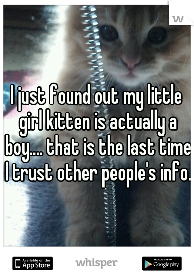 I just found out my little girl kitten is actually a boy.... that is the last time I trust other people's info.