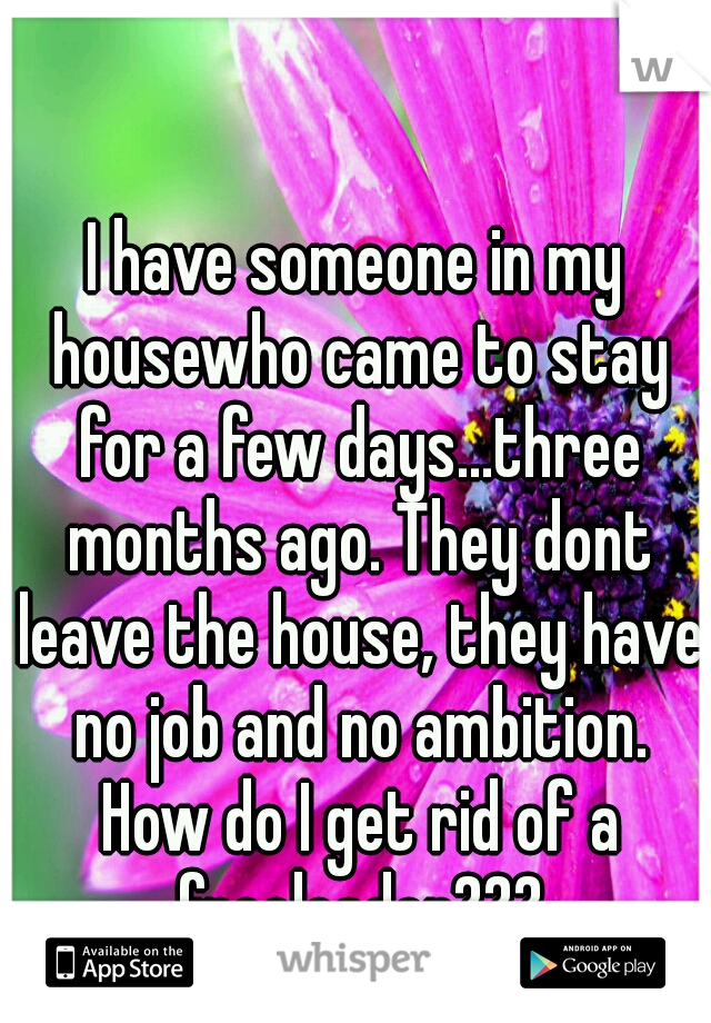 I have someone in my housewho came to stay for a few days...three months ago. They dont leave the house, they have no job and no ambition. How do I get rid of a freeloader???