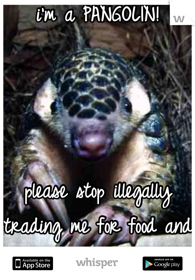i'm a PANGOLIN!




please stop illegally trading me for food and fake medicine!
