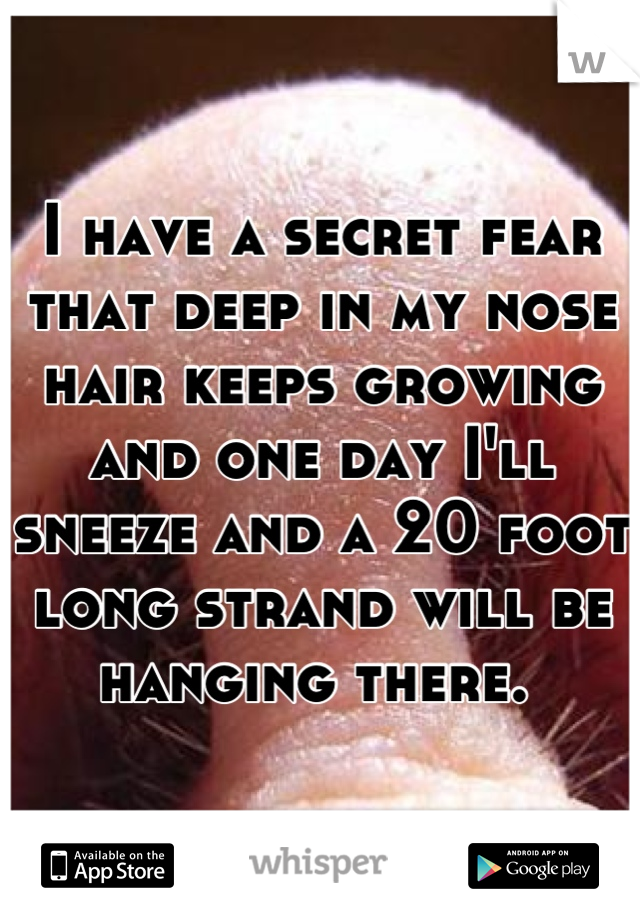 I have a secret fear that deep in my nose hair keeps growing and one day I'll sneeze and a 20 foot long strand will be hanging there. 