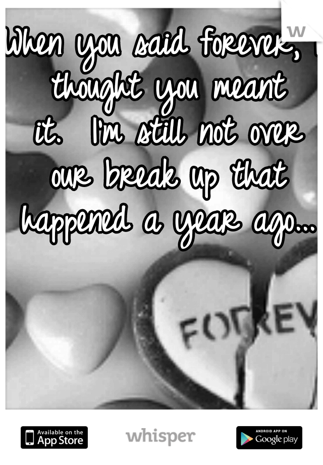 When you said forever, I thought you meant it.

I'm still not over our break up that happened a year ago...
